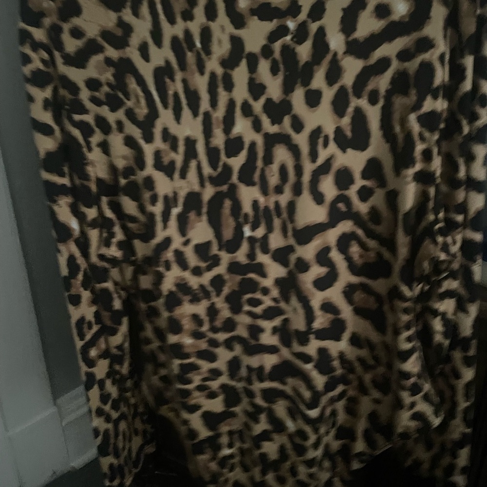 Leopard - Picture 3 of 3